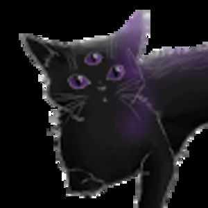 Meet your Posher, Beau